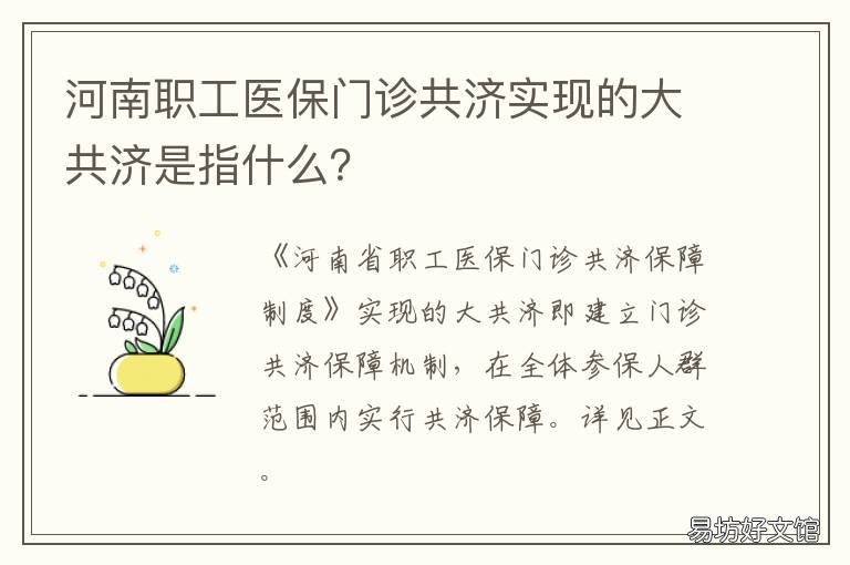 河南职工医保门诊共济实现的大共济是指什么? 省医保 市医保 共济