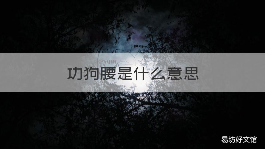 功狗腰是什么意思 狗公腰是什么?