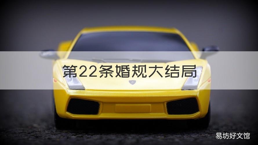 第22条婚规大结局 第二二十二条婚规2