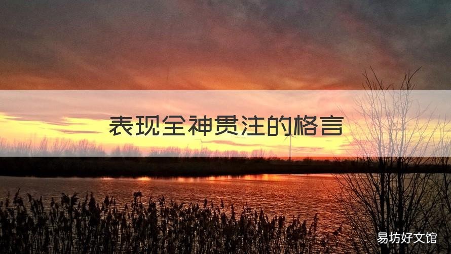 表现全神贯注的格言 描写全神贯注的句子有哪些