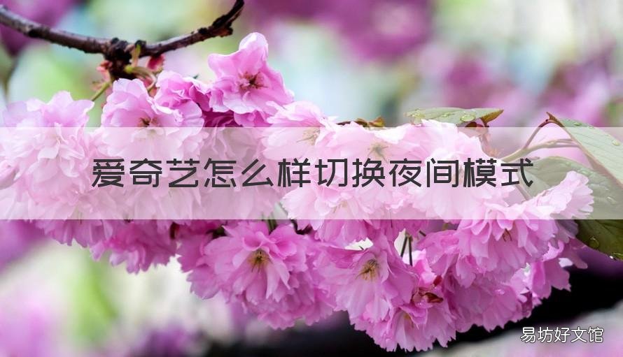 爱奇艺怎么样切换夜间模式 爱奇艺白天模式
