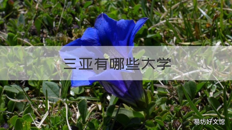 三亚有哪些大学 三亚有哪些大学有博士点