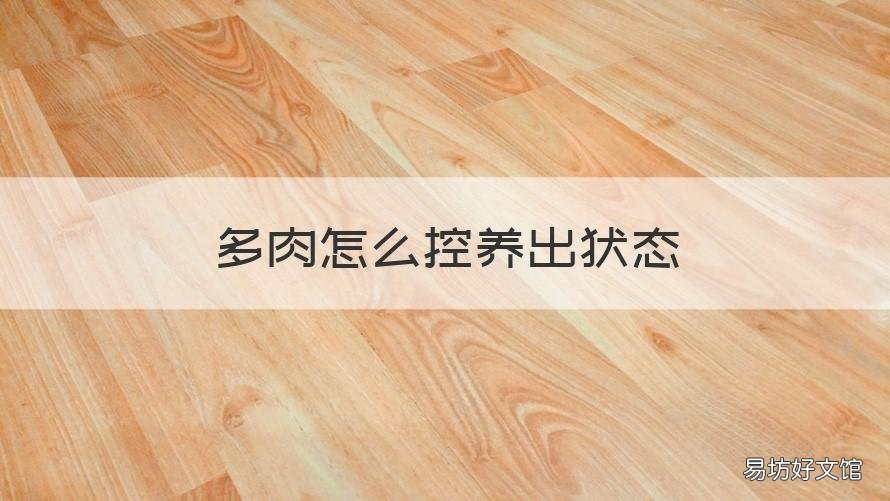 多肉怎么控养出状态 多肉这么控养