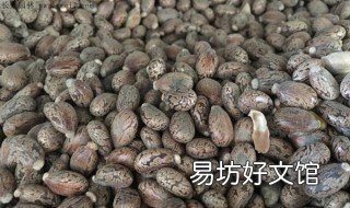 蓖麻一亩地打多少公斤 蓖麻一亩地打多少公斤农药