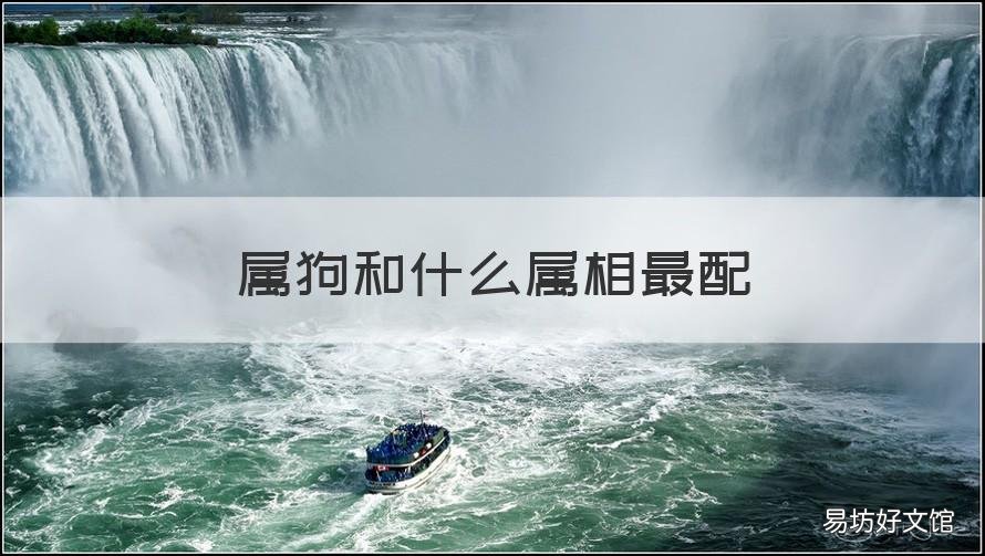 属狗和什么属相最配
