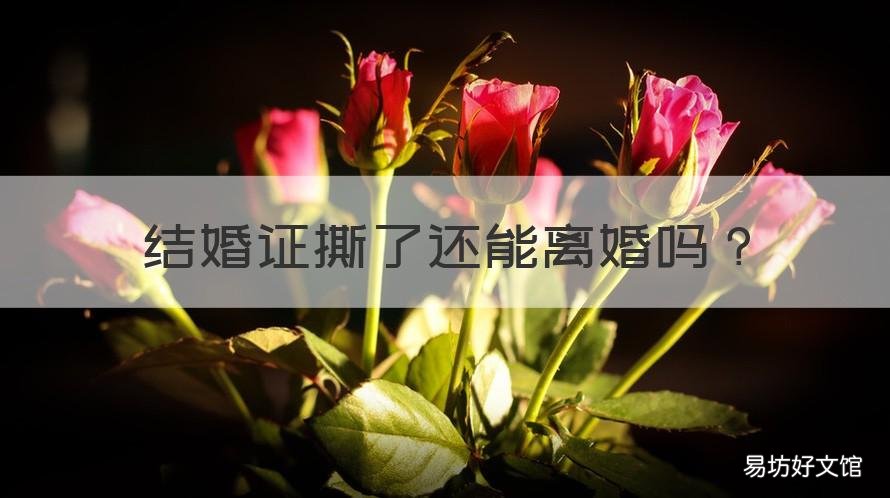 结婚证撕了还能离婚吗 把结婚证撕了还可以离婚吗