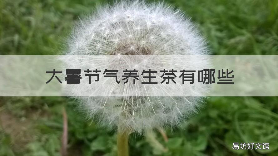 大暑节气养生茶有哪些 大暑节气饮食养生