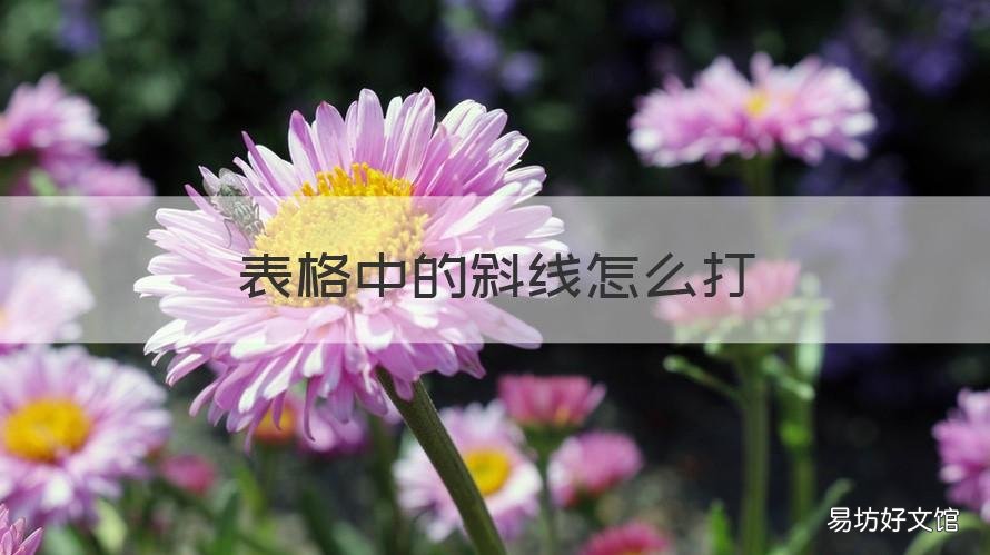 表格中的斜线怎么打 表格中的斜线怎么打字