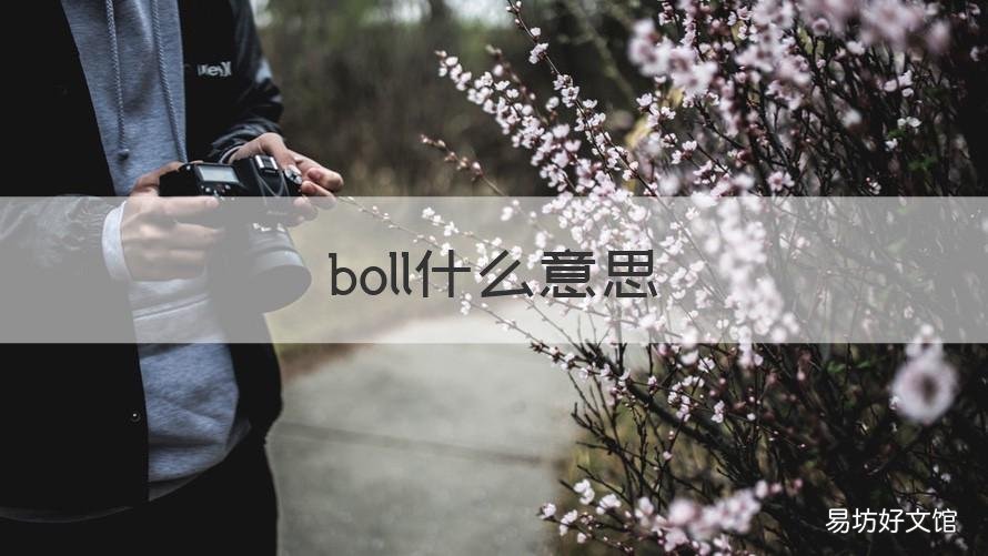 boll什么意思 boll什么意思中文意思