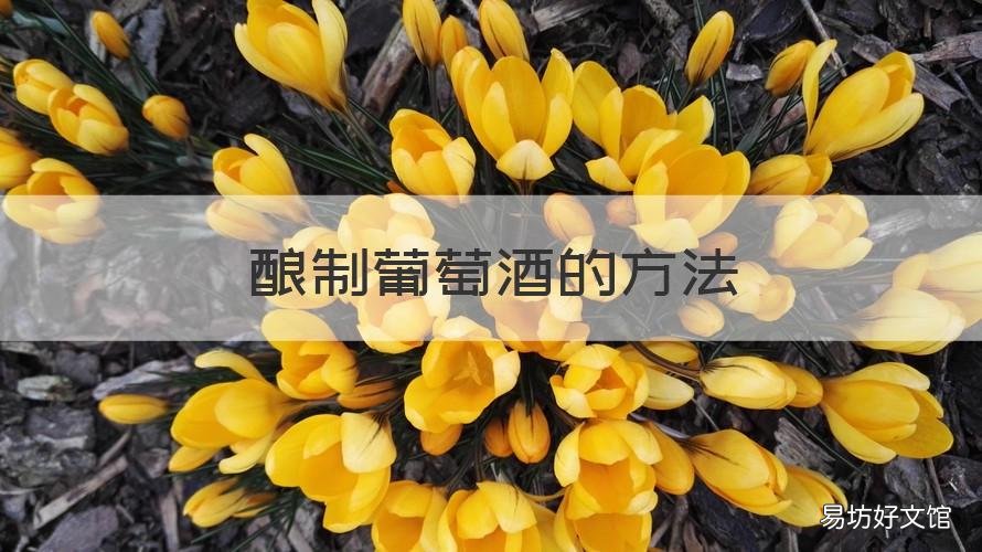 酿制葡萄酒的方法 酿葡萄酒的制作方法