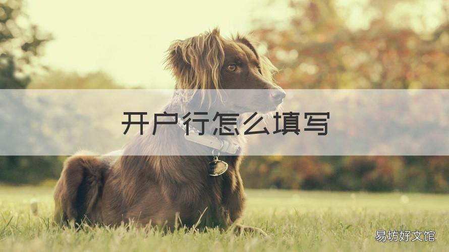 开户行怎么填写 邮政开户行怎么填写