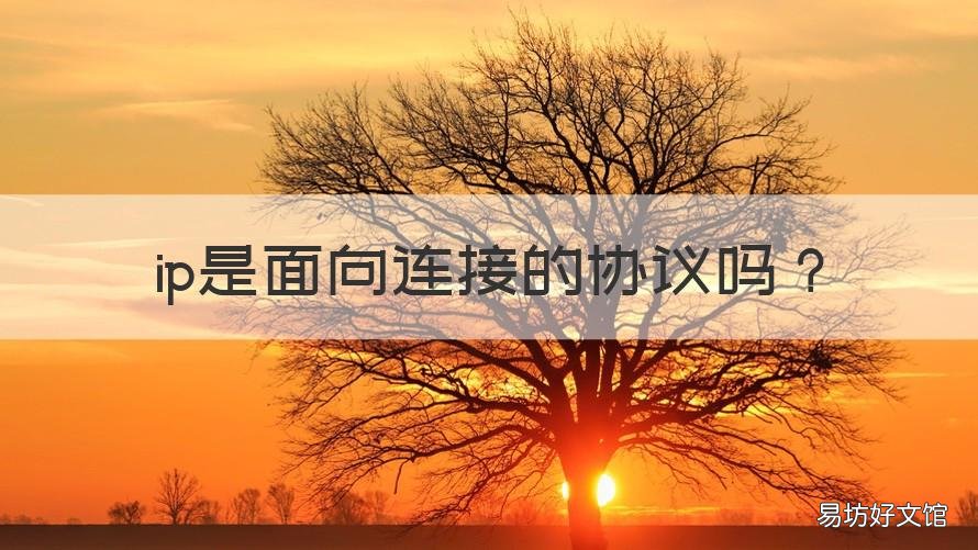 ip是面向连接的协议吗 ip是面向什么的协议