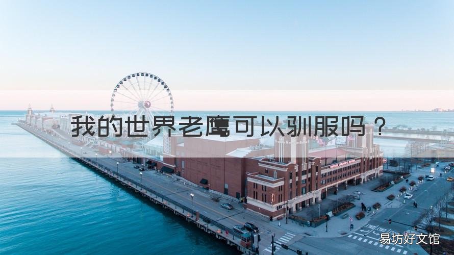 我的世界老鹰可以驯服吗 我的世界猫头鹰驯服