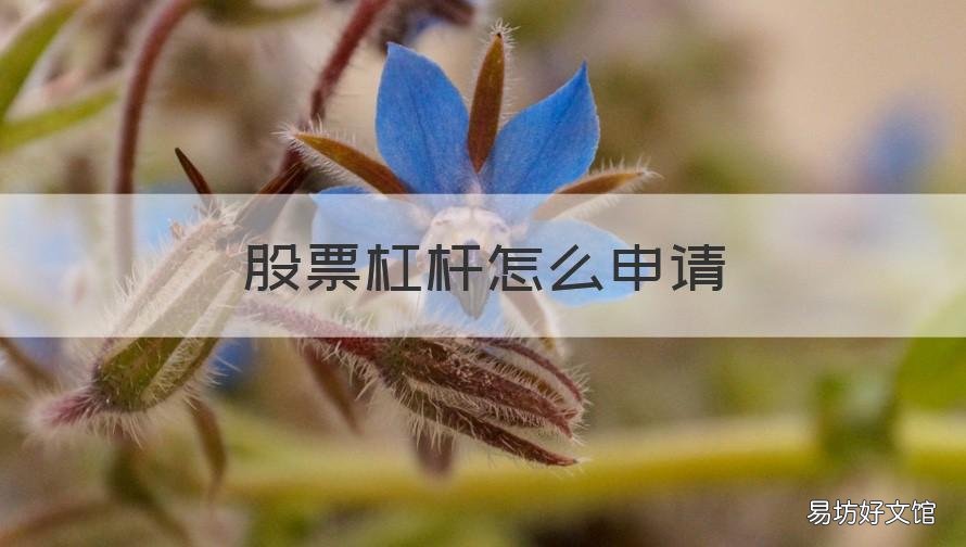申 宝 股票杠杆怎么申请 股票杠杆怎么申请配资怎么找
