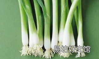 哪那种香葱下面有块茎 香葱的根茎有药用吗