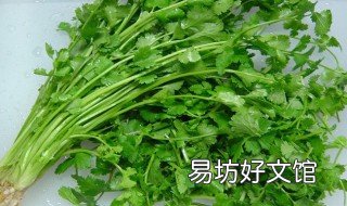 香菜种植技术和时间 香菜种植技术和种植时间