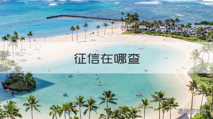 征信在哪查 征信在哪查免费