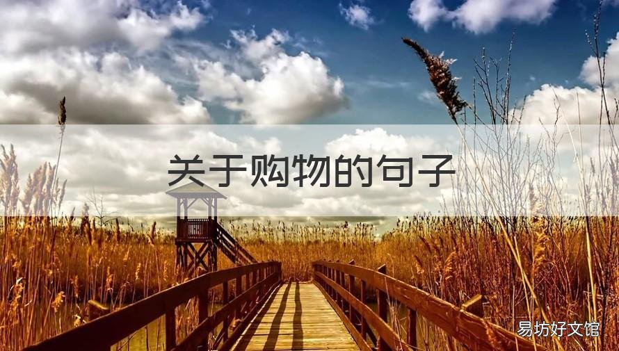 关于购物的句子 关于购物的句子有什么