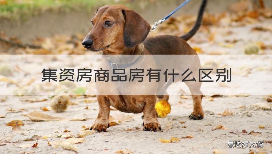 集资房商品房有什么区别 集资房商品房有什么区别吗