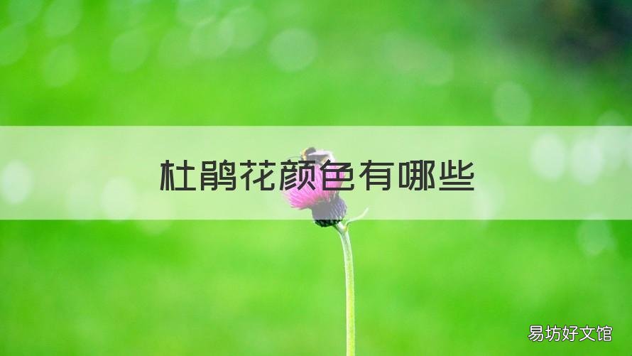 杜鹃花颜色有哪些 杜鹃花什么颜色的