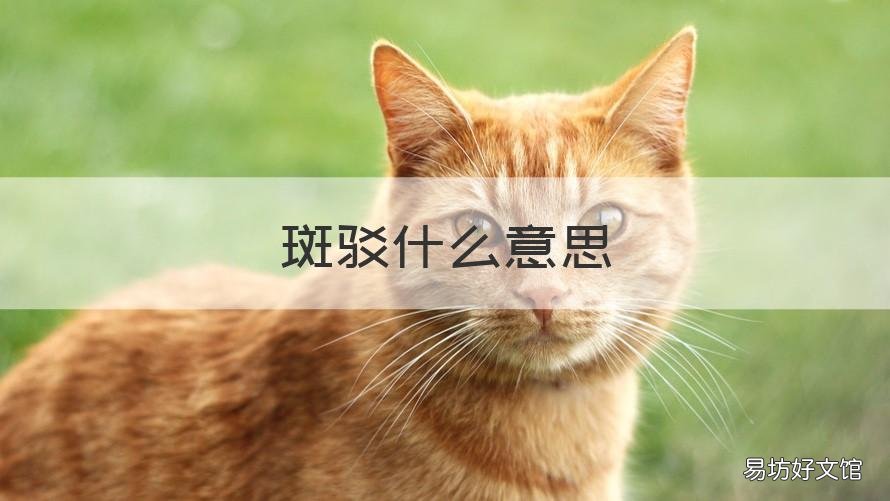 斑驳什么意思 斑驳离陆的斑驳什么意思