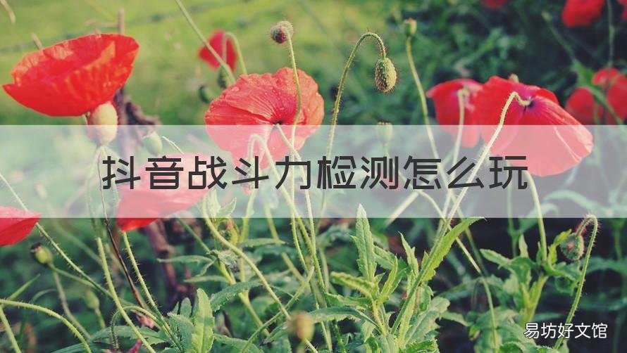 抖音战斗力检测怎么玩 抖音战斗力检测怎么玩的