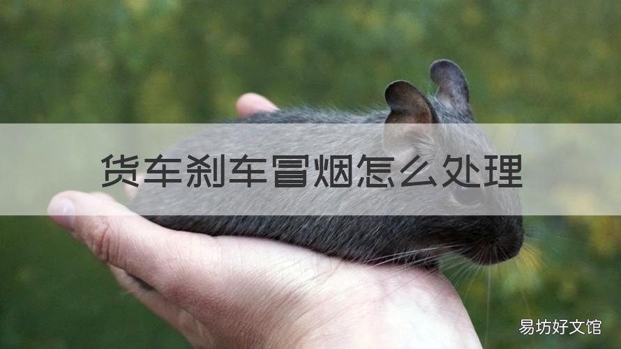 货车刹车冒烟怎么处理 大货车刹车冒烟
