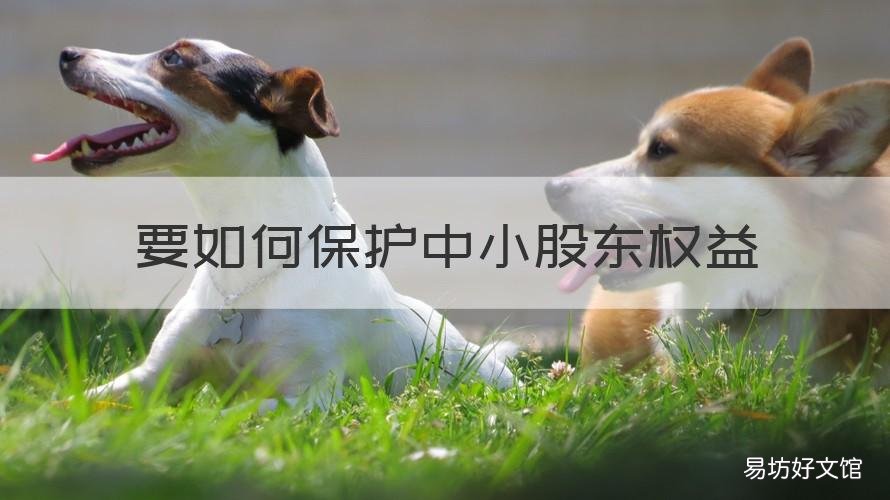 要如何保护中小股东权益 要如何保护中小股东权益的方法