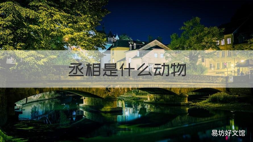 丞相是什么动物 丞相是属于什么动物