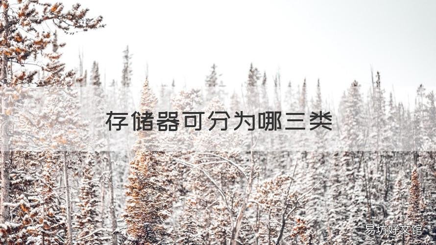 存储器可分为哪三类 存储器可分为哪三类类型