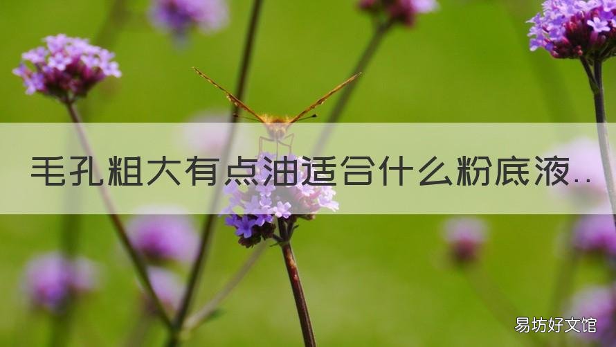 毛孔粗大有点油适合什么粉底液 毛孔粗用什么粉底液好