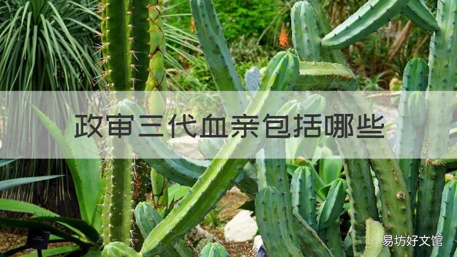 政审三代血亲包括哪些 政审三代血亲包括哪些人