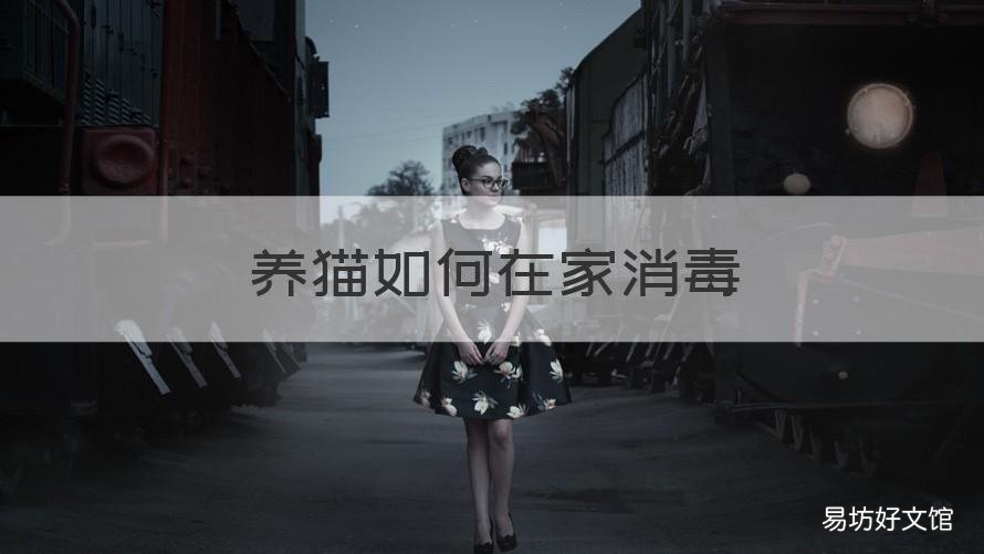 养猫如何在家消毒 养猫如何在家消毒杀菌