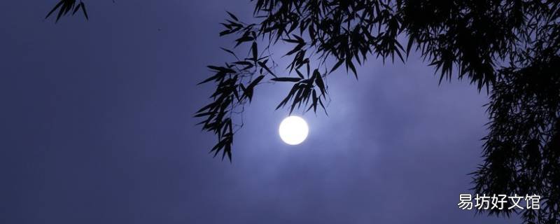 今夜月色很美什么梗