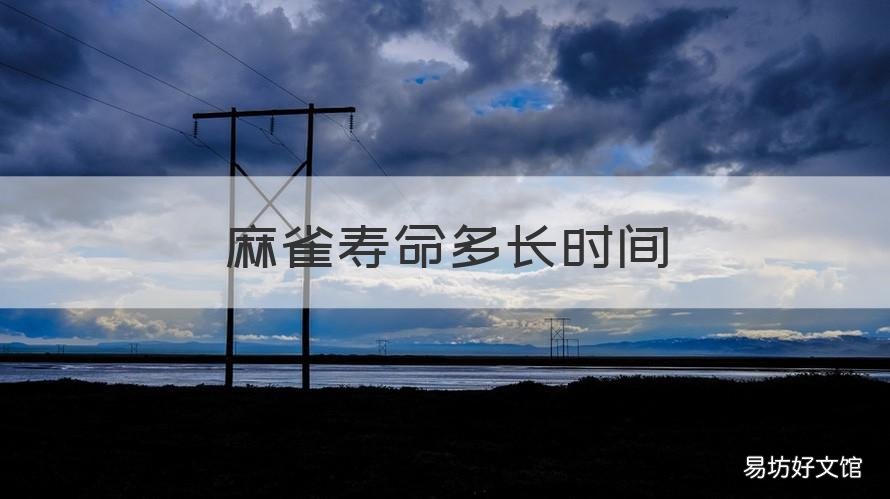 麻雀寿命多长时间 麻雀寿命一般多久