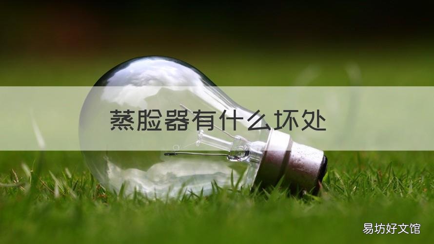 蒸脸器有什么坏处 长期使用蒸脸器的好处