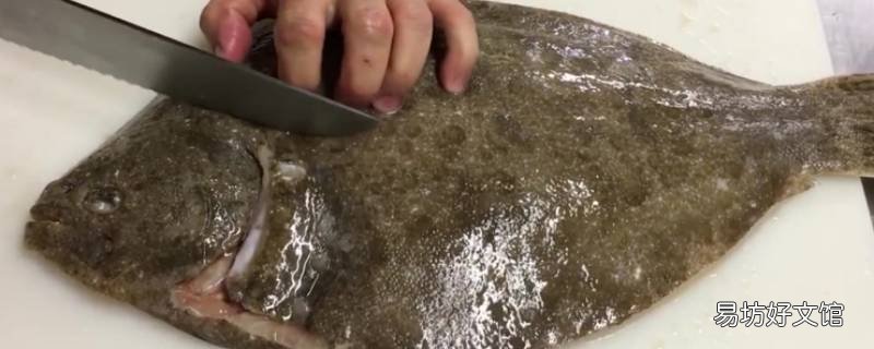 八宝鱼和多宝鱼一样么 多宝鱼 八宝鱼