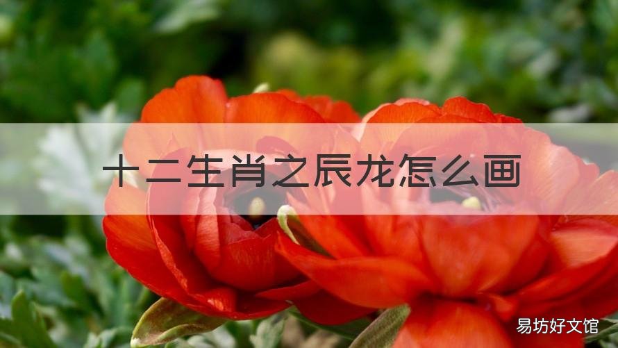 十二生肖之辰龙怎么画 十二生肖辰龙怎么画Q版简单