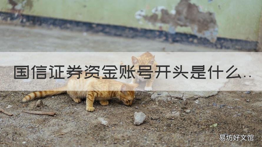 国信证券资金账号开头是什么 国金证券资金账号开头是什么