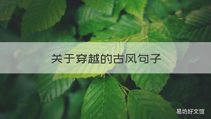 关于穿越的古风句子 穿越千年的古风句子