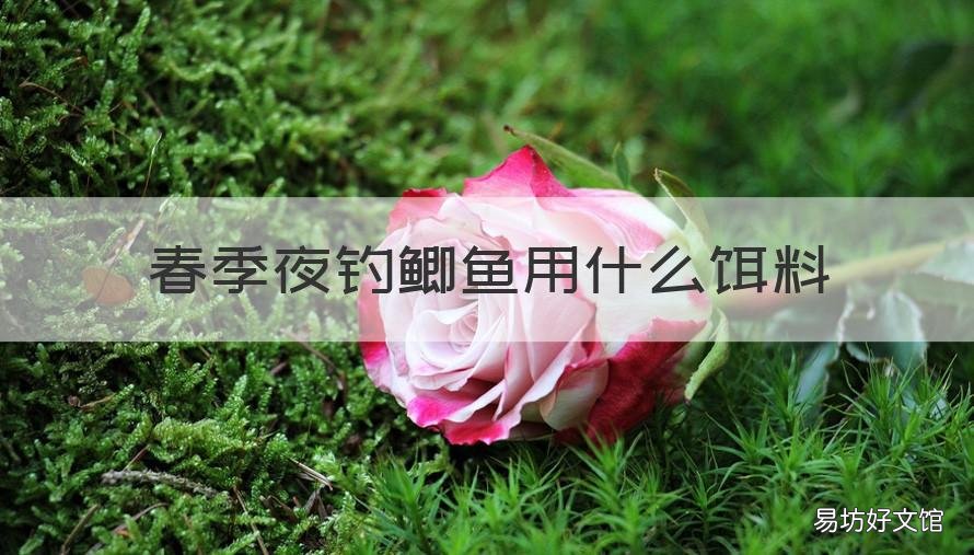 春季夜钓鲫鱼用什么饵料 春季夜钓鲤鱼用什么饵料