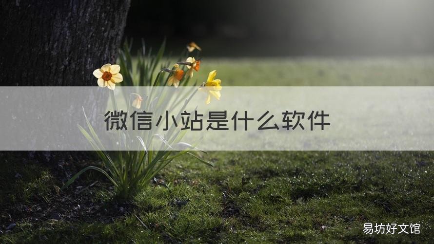 微信小站是什么软件 微信站号用什么软件
