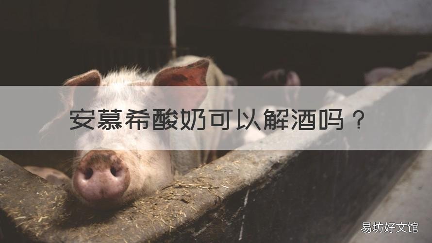 安慕希酸奶可以解酒吗 安慕希酸奶可以解酒吗是真的吗