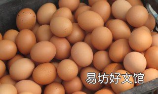 蛋鸡增蛋小妙招 蛋鸡增蛋方法