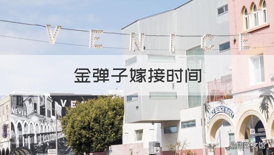 金弹子嫁接时间 金弹子嫁接时间视频
