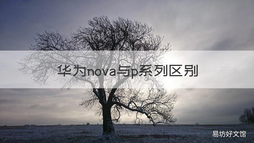 华为nova与p系列区别 华为p系列与nova系列区别