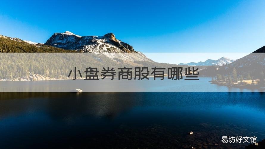 小盘券商股有哪些 大盘券商股有哪些