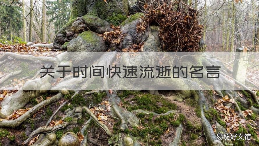 关于时间快速流逝的名言 关于时间快速流逝的名言名句