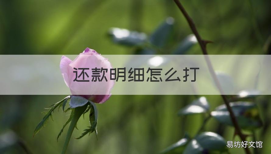 还款明细怎么打 还款明细怎么打印清单