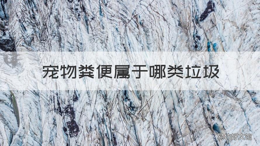宠物粪便属于哪类垃圾 宠物粪便属于哪类垃圾分类